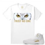 Match OVO 12 Jordan Retro| OVO Trust No One | White T shirt