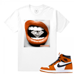 Match Reverse Shattered Backboard 1s Jordan Retro | Diamond Lips | White T shirt