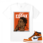 Match Reverse Shattered Backboard 1s Jordan Retro | Free Kodak | White T shirt