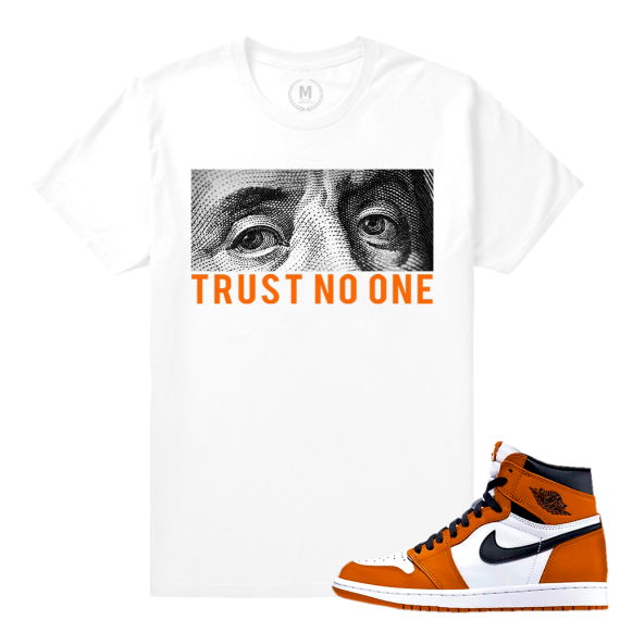 Match Reverse Shattered Backboard 1s Jordan Retro | Trust No One | White T shirt