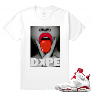 Match Jordan 6 Alternate | Dxpe 6s | White T shirt