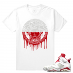 Match Jordan 6 Alternate | Medusa Drip | White T shirt