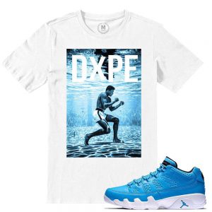 Match Pantone 9 Jordan Low Retros | Dxpe Champ | White T shirt