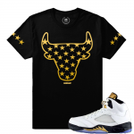 Match Olympic 5 Jordan Retro | Rare Bull Stars | Black T shirt