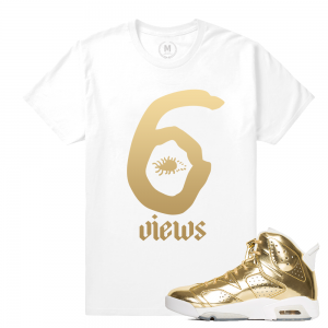 Match Jordan 6 Pinnacle | Views Of my Sixes | White T shirt