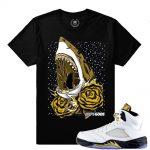 Match Olympic 5 Jordan Retro| Dxpe Gods Jaws|Black T shirt