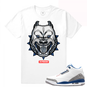 Match Jordan 3 True Blue OG | Blue Eye Pit | White T shirt