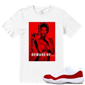 Match Varsity Red 11 lows Jordan Retros | Beware of Snakes | White T shirt