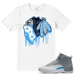 Match Wolf Grey 12 Jordan Retros | Black Hawks Drip | White T shirt