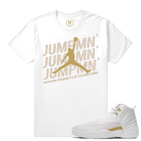 Match OVO 12 Jordan Retro| Jumpman Jumpman | White T shirt