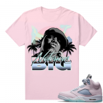 Easter 5s Regal Pink Shirts - Pink Biggie Paradise