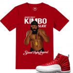 Match Gym Red 12 Jordan Retros | Street Fight Legend | Red T shirt