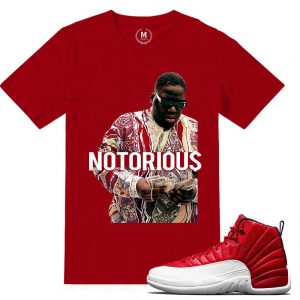 Match Gym Red 12 Jordan Retros | Notorious | Red T shirt