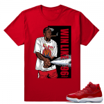 Jordan 11 Win Like 96 Sneaker tees Red Finals