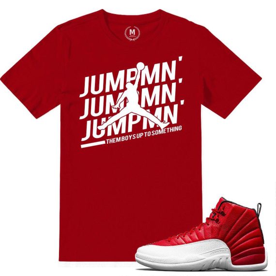 Match Gym Red 12 Jordan Retros | Jumpman Jumpman | Red T shirt