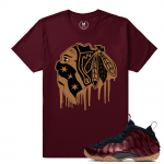 Match Maroon Foamposite | Black Hawks Drip | Maroon T shirt