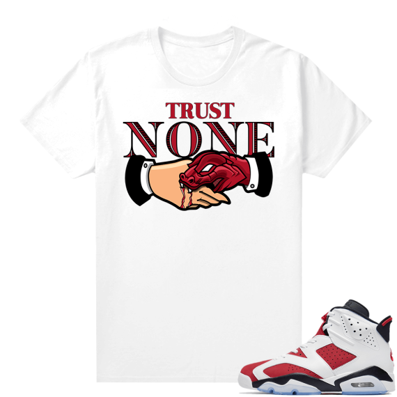 Sneaker Shirts Jordan 6 Carmine White Trust None