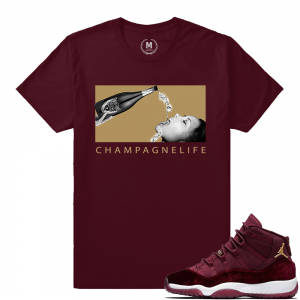 Match Jordan 11 Velvet GS | Champagne Life | Maroon T shirt