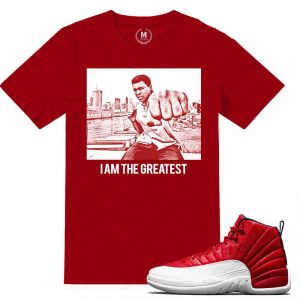 Match Gym Red 12 Jordan Retros | I Am The Greatest | Red T shirt