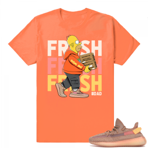 Yeezy 350 Clay | Fresh Homer | Hyper Orange Shirt