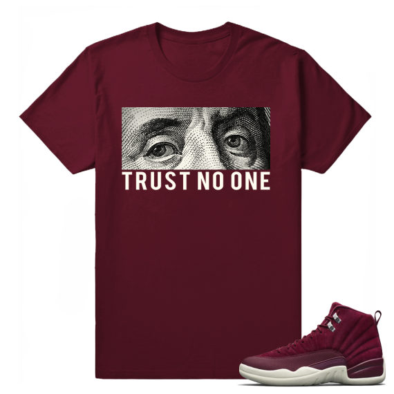 Sneaker tees Jordan Retro 12 Bordeaux 'Trust No One' T shirt Maroon