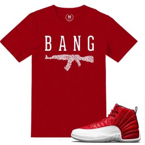 Match Gym Red 12 Jordan Retros | AK Roses | Red T shirt