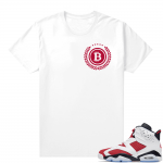 2021 Carmine Jordans Match White Bitcoin