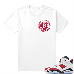 2021 Carmine Jordans Match White Bitcoin