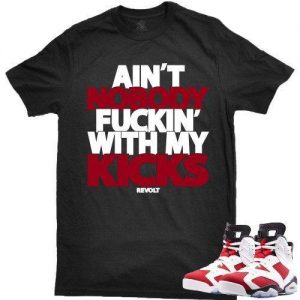 Aint Nobody Tee (Carmine 6s)