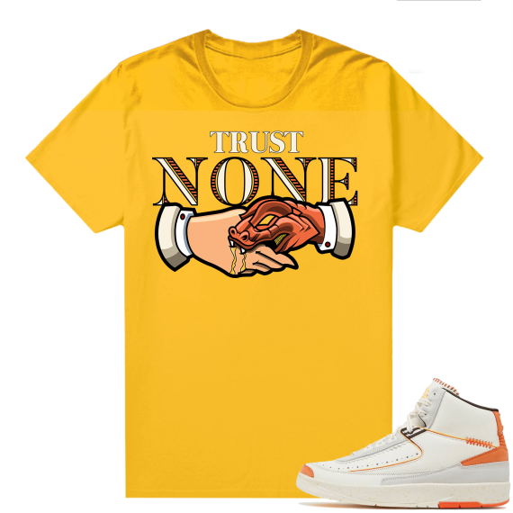 Jordan 2 Orange Sail Maison Chateau Rogue Shirts Gold Trust None