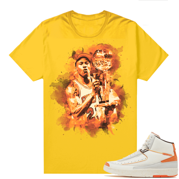 Jordan 2 Orange Sail Maison Chateau Rogue Shirts Gold Watercolor MJ Trophy