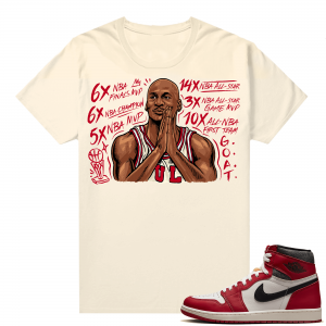 Chicago 1s Lost and Found  Shirt Sail MJ Accolades